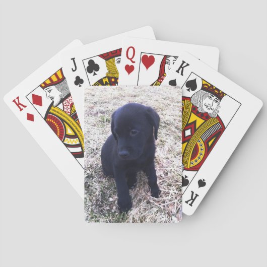 Black Labrador Retriever Puppy Pokerkaarten (Achterkant)