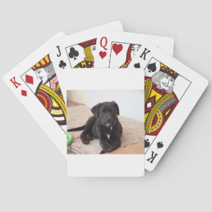 Black Labrador Retriever Puppy Pokerkaarten