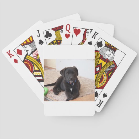 Black Labrador Retriever Puppy Pokerkaarten (Achterkant)
