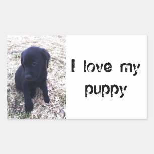 Black Labrador Retriever Puppy Rechthoekige Sticker