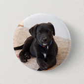 Black Labrador Retriever Puppy Ronde Button 5,7 Cm (Voorkant)