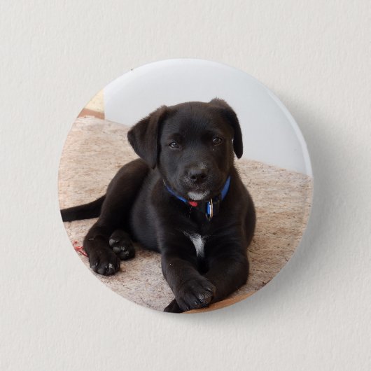 Black Labrador Retriever Puppy Ronde Button 5,7 Cm (Voorkant)