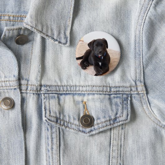 Black Labrador Retriever Puppy Ronde Button 5,7 Cm (In situ)