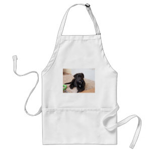 Black Labrador Retriever Puppy Standaard Schort