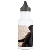 Black Labrador Retriever Puppy Waterfles (Links)