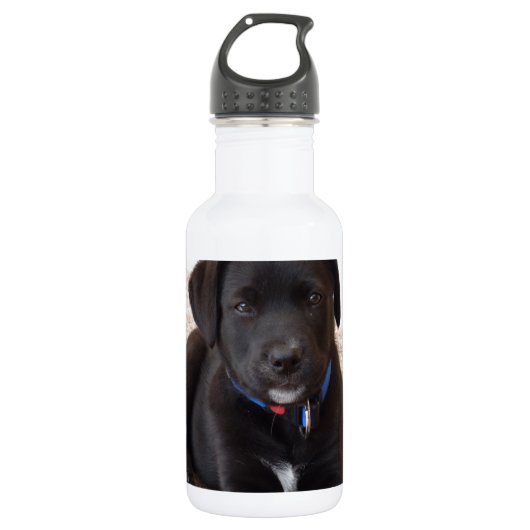 Black Labrador Retriever Puppy Waterfles (Voorkant)