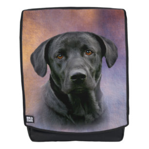 Black Labrador Retriever Rugtassen