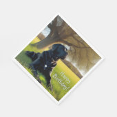 Black Labrador Retriever Servet (Hoek)