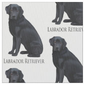 Black Labrador Retriever Stof (Close Up)