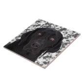 Black Labrador Retriever Tegeltje (Zijkant)