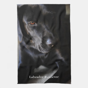 Black Labrador Retriever Theedoek
