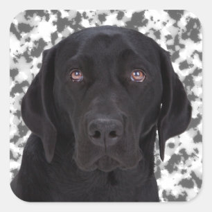 Black Labrador Retriever Vierkante Sticker