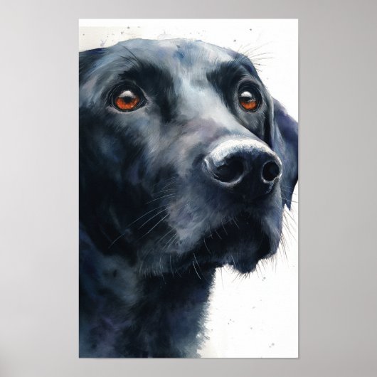 Black labrador retriever watercolor poster (Voorkant)