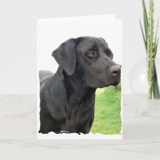 Black Labrador Retriever Wenskaart Kaart (Voorkant)