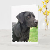 Black Labrador Retriever Wenskaart Kaart (Gele Bloem)