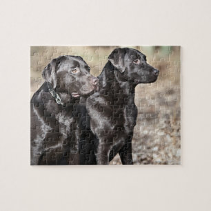 Black Labrador Retrievers Legpuzzel