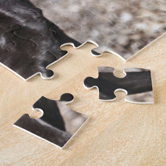 Black Labrador Retrievers Legpuzzel (Zijkant)