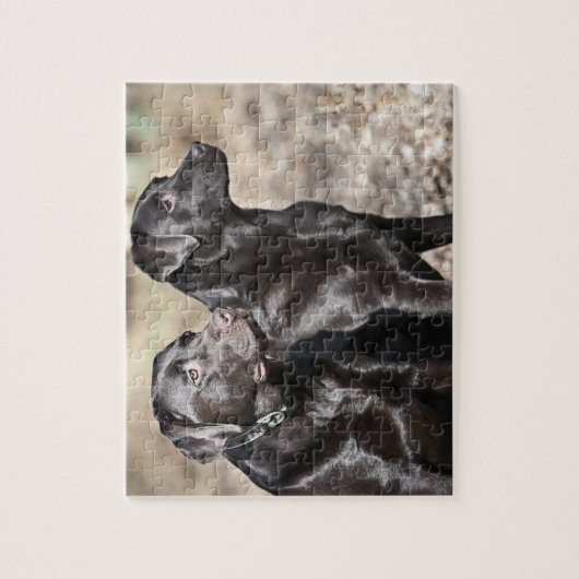 Black Labrador Retrievers Legpuzzel (Verticaal)