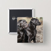 Black Labrador Retrievers Vierkante Button 5,1 Cm (Voorkant /achterkant)