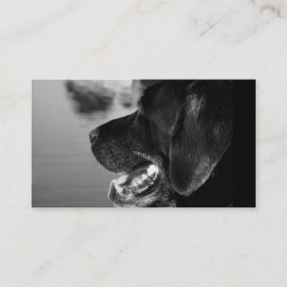 BLACK LABRADOR - Sjabloon voor visitekaartjes
