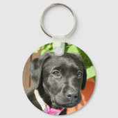 Black Labrador Sleutelhanger (Voorkant)