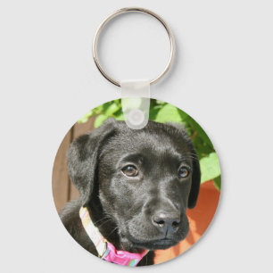 Black Labrador Sleutelhanger