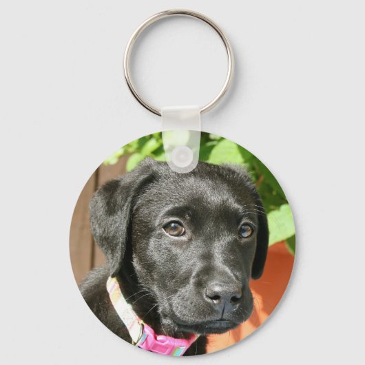 Black Labrador Sleutelhanger (Voorkant)