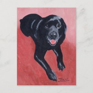 Black Labrador Smiling Briefkaart