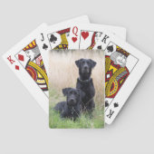 Black Labrador-speelkaarten Pokerkaarten (Achterkant)