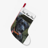Black Labrador stocker Kleine Kerstsok (Voorkant (Hangend))