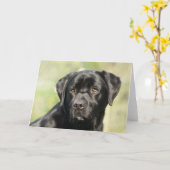 Black Labrador Verjaardag Kaart (Gele Bloem)
