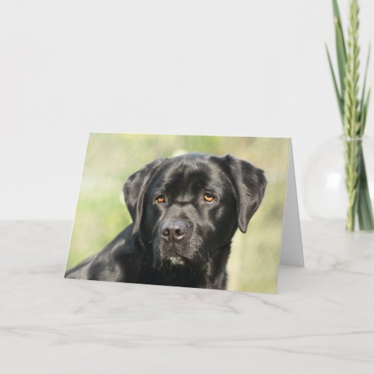 Black Labrador Verjaardag Kaart (Voorkant)