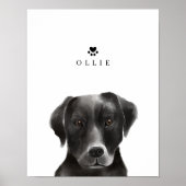 Black Labrador Waterverf Illustration Dog's Name Poster (Voorkant)
