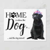 Black Labrador We hebben Dog Moving Aankondigingskaart (Voorkant)
