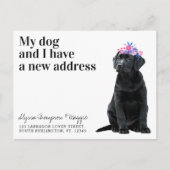 Black Labrador We hebben New Address Dog Moving Briefkaart (Voorkant)