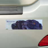 Black Labs Rule, SheilaWedegisArt Bumpersticker (Op auto)