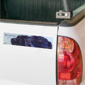 Black Labs Rule, SheilaWedegisArt Bumpersticker (Op Truck)