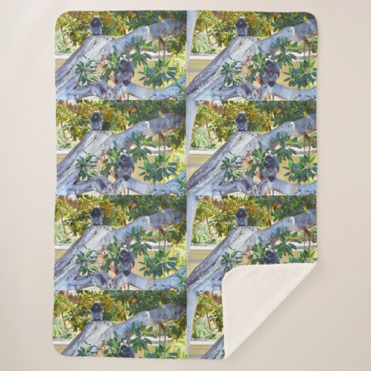 Black Langur Monkeys Eating, Lge Sherpa Blanket Sherpa Deken (Voorkant)