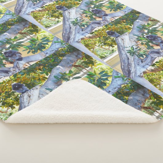 Black Langur Monkeys Eating, Lge Sherpa Blanket Sherpa Deken (3/4)