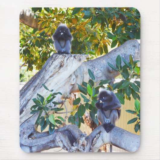 Black Langur Monkeys Eating, Mousepad Muismat (Voorkant)