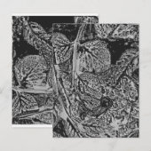 Black leafs briefkaart (Voorkant / Achterkant)