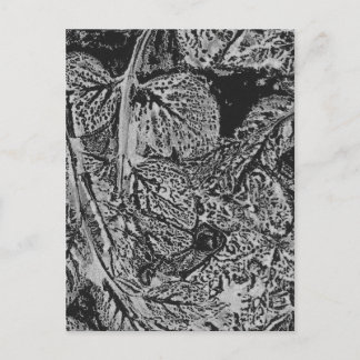 Black leafs briefkaart
