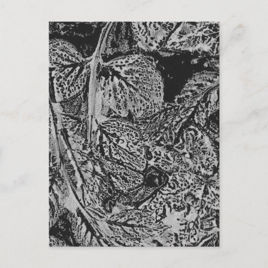 Black leafs briefkaart (Voorkant)