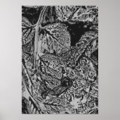 Black leafs poster (Voorkant)