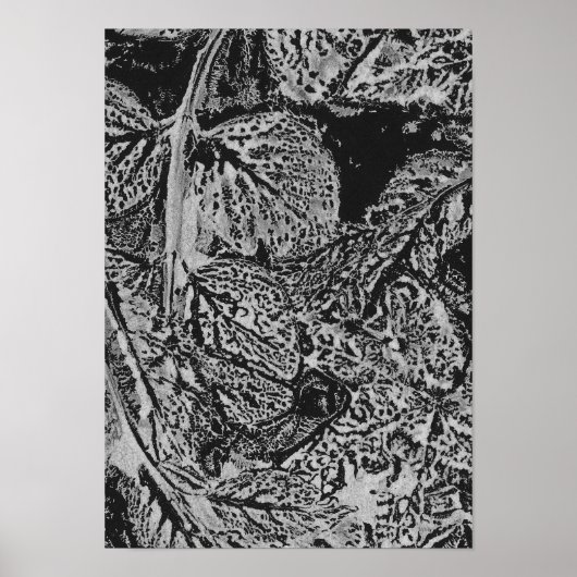 Black leafs poster (Voorkant)