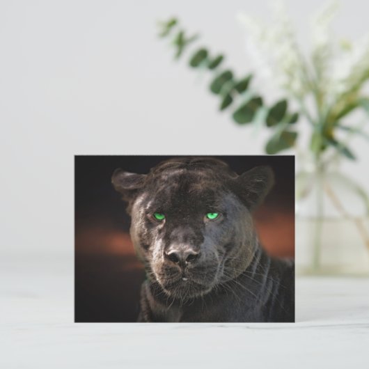 Black Leopard Big Cat Briefkaart (Staand voorkant)