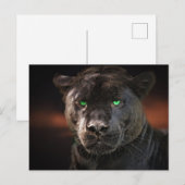 Black Leopard Big Cat Briefkaart (Voorkant / Achterkant)