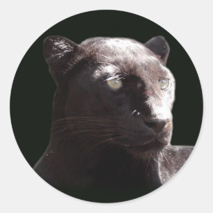 Black Leopard Portrait Ronde Sticker