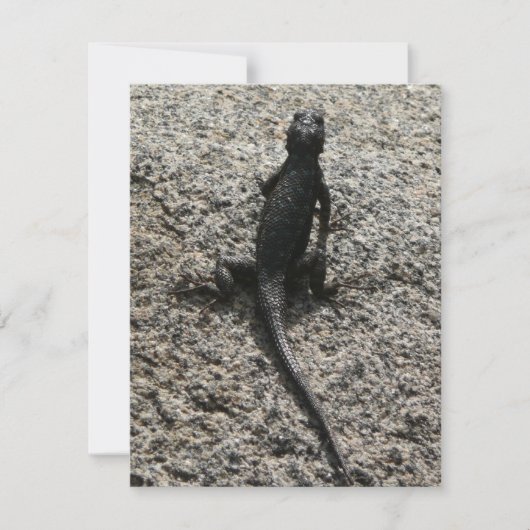 Black Lizard (Voorkant)