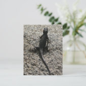 Black Lizard (Staand voorkant)